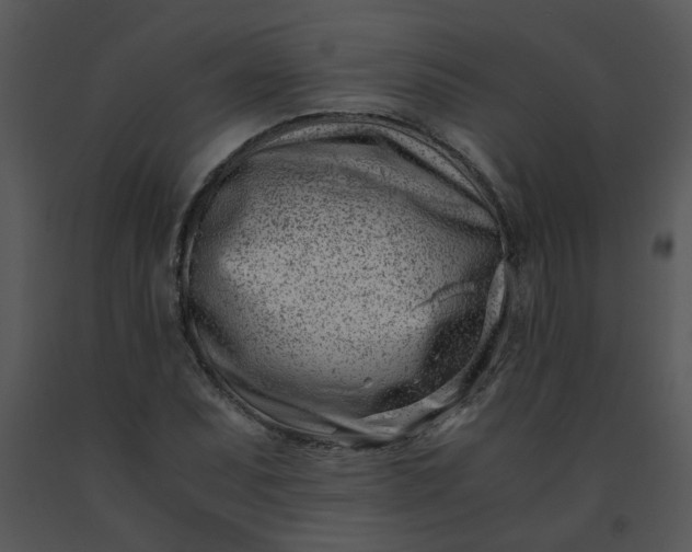 X0000091451071200708301805