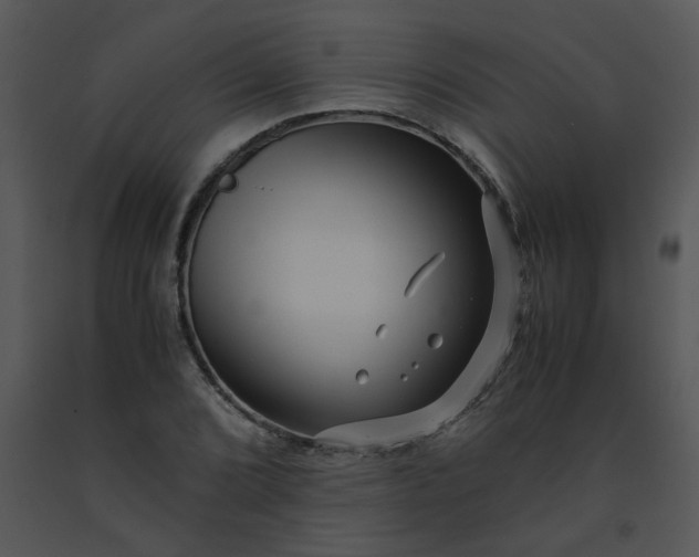 X0000091451072200708301805