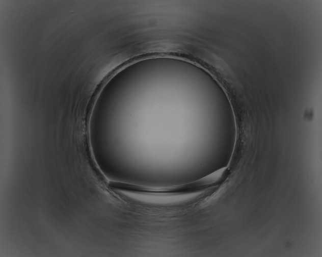 X0000091451073200708301805