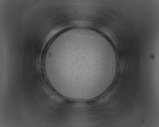 X0000091451074200708301805