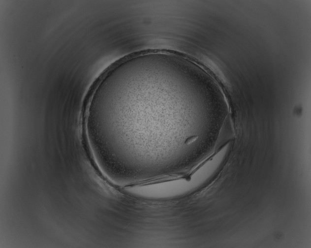 X0000091451076200708301805