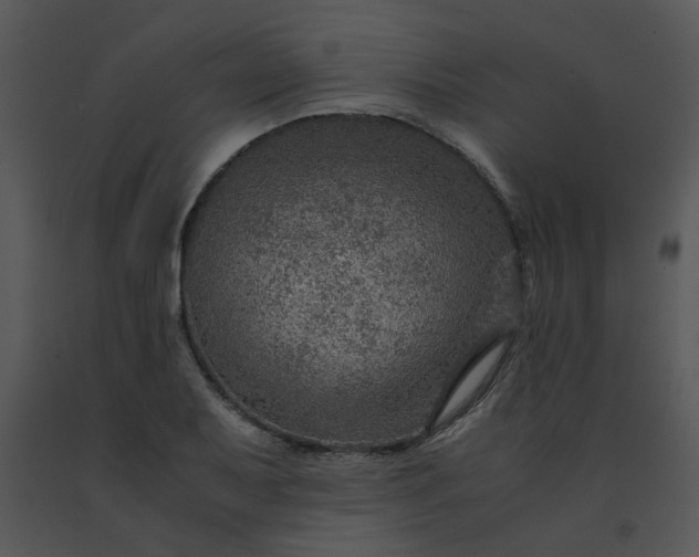 X0000091451079200708301805