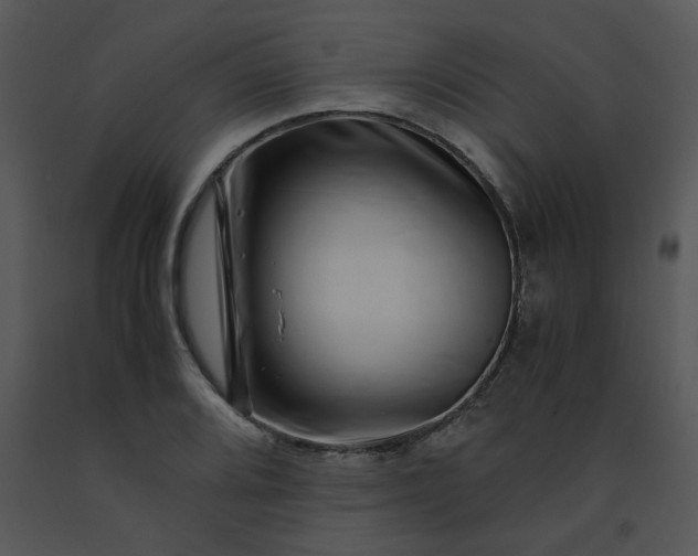 X0000091451080200708301805
