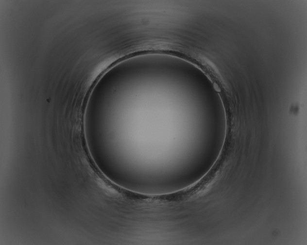X0000091451081200708301805