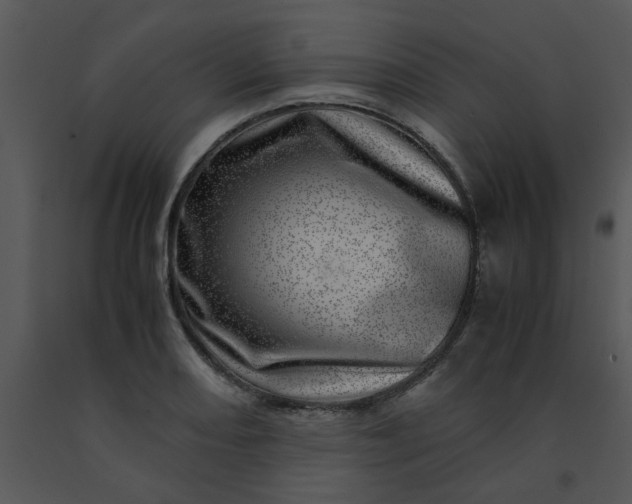 X0000091451082200708301805