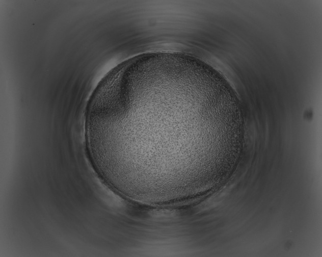X0000091451083200708301805