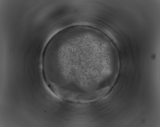 X0000091451084200708301805