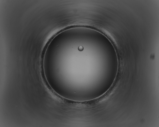 X0000091451085200708301805