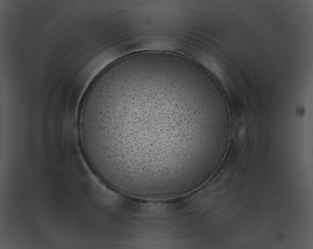 X0000091451087200708301805