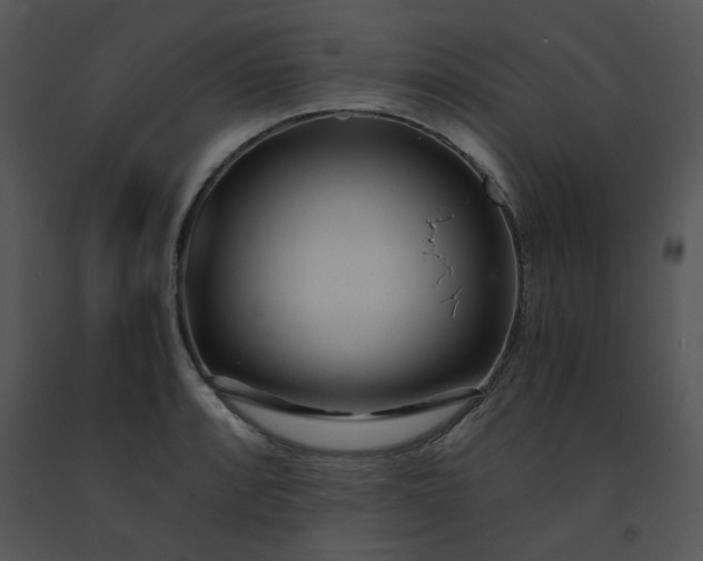 X0000091451088200708301805