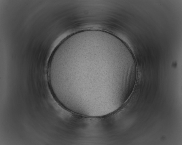 X0000091451090200708301805