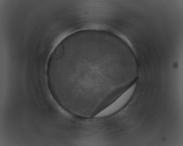 X0000091451091200708301805