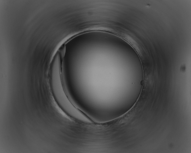 X0000091451092200708301805