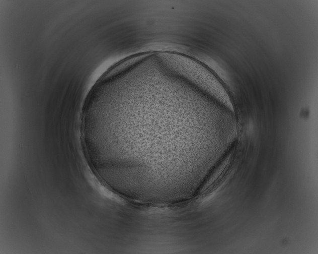 X0000091451094200708301805