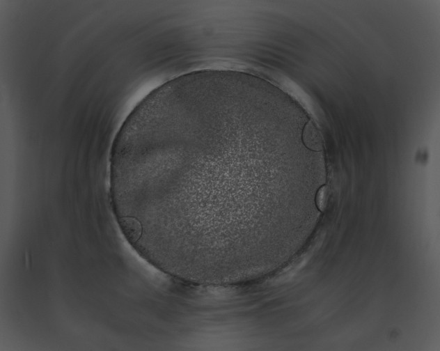X0000091451095200708301805