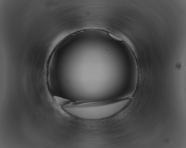 X0000091451096200708301805