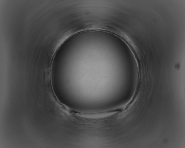 X0000091451097200708301805