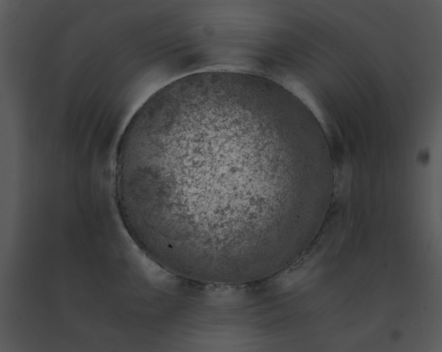X0000091451099200708301805