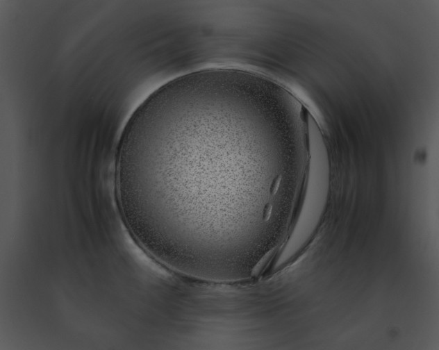 X0000091451100200708301805