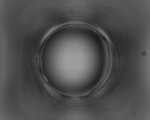 X0000091451101200708301805