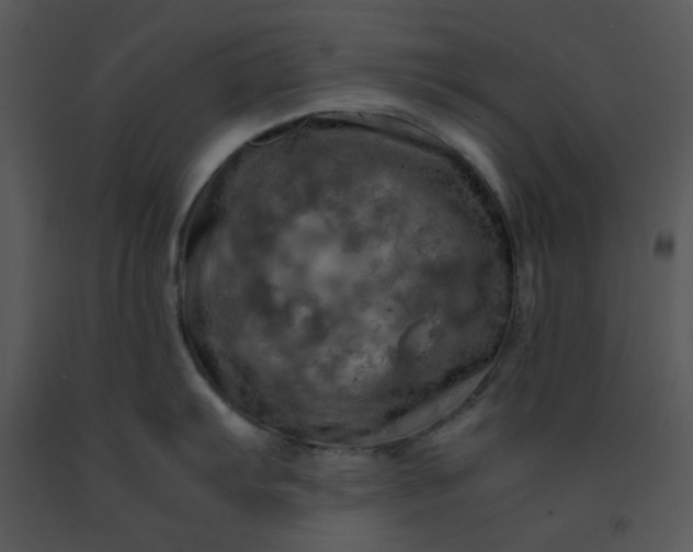 X0000091451103200708301805