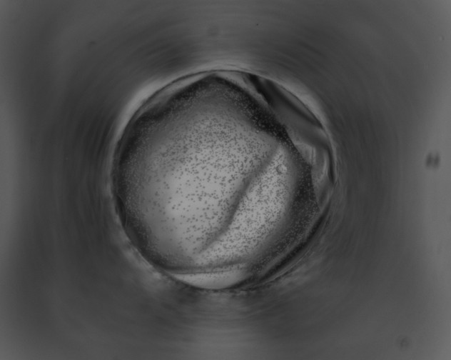 X0000091451104200708301805