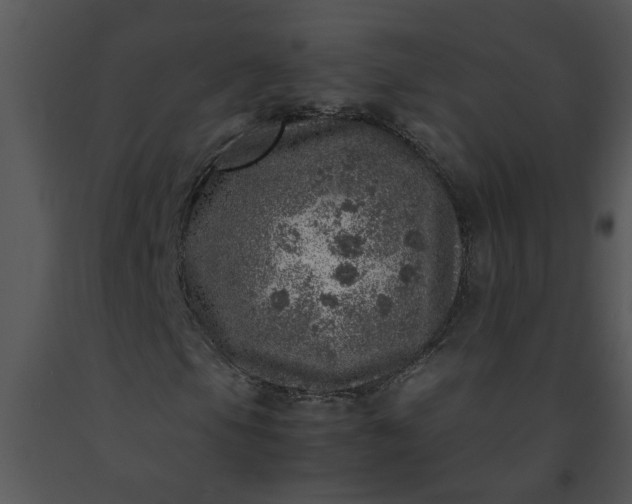 X0000091451105200708301804