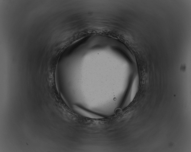 X0000091451109200708301804