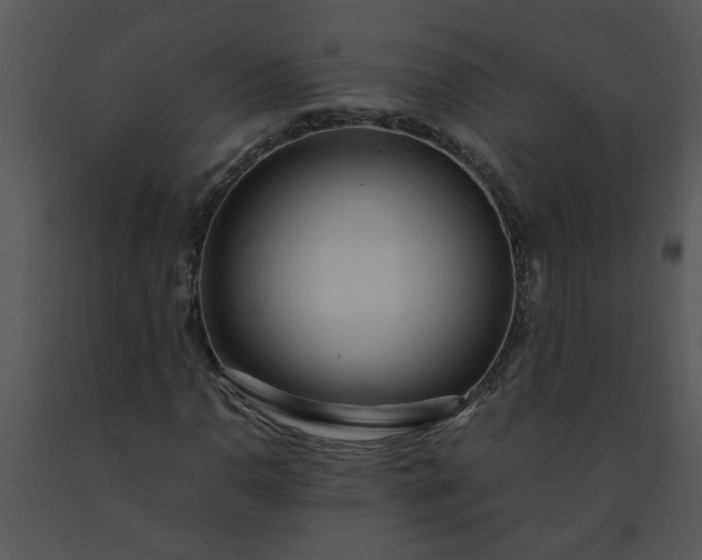 X0000091451110200708301804