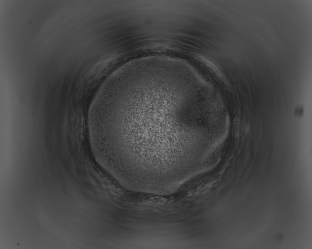 X0000091451111200708301804