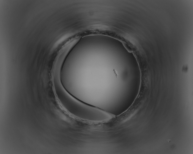 X0000091451112200708301804