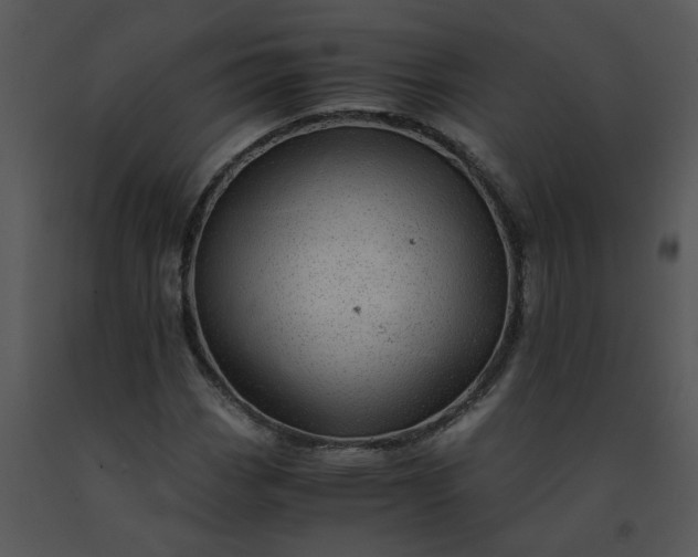 X0000091451113200708301804