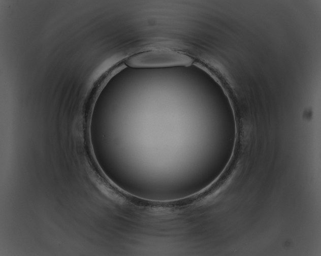 X0000091451114200708301804