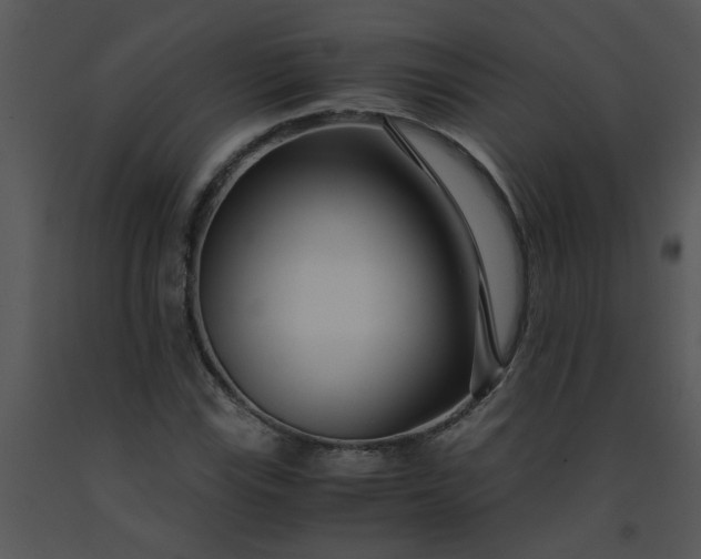 X0000091451115200708301804