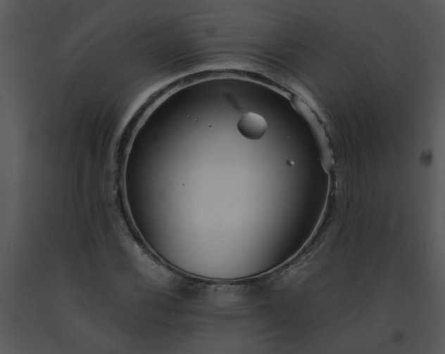 X0000091451116200708301804