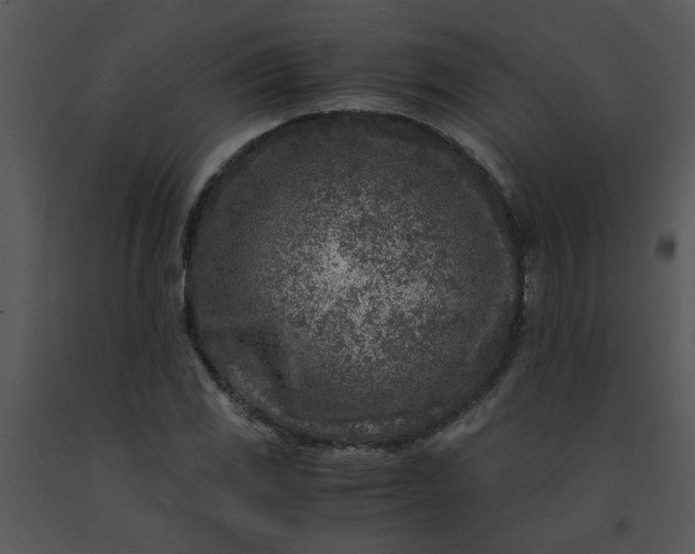 X0000091451117200708301804
