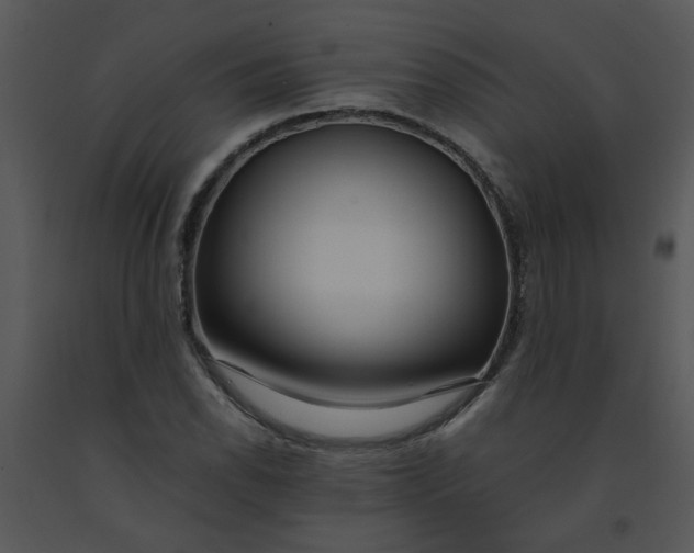 X0000091451118200708301804