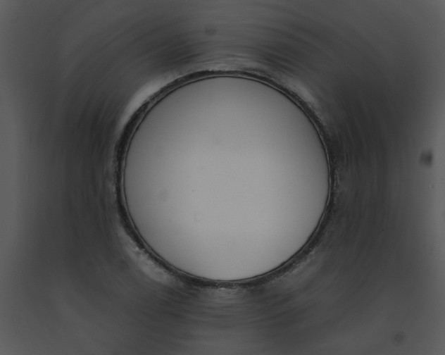 X0000091451122200708301804