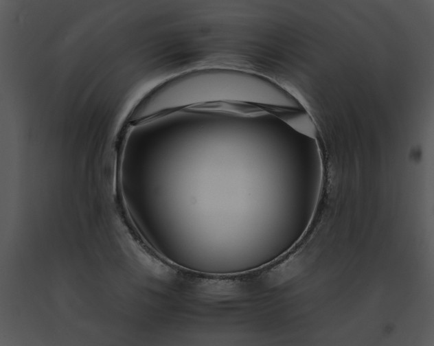 X0000091451123200708301804