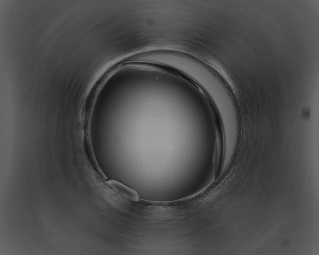 X0000091451124200708301804
