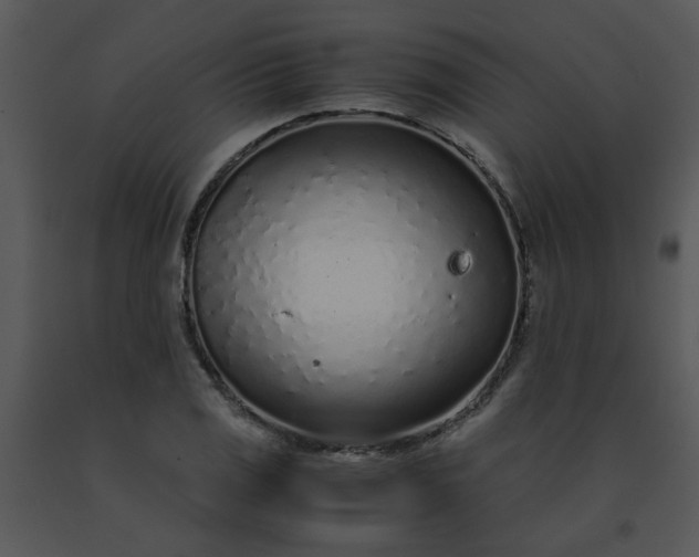 X0000091451125200708301804