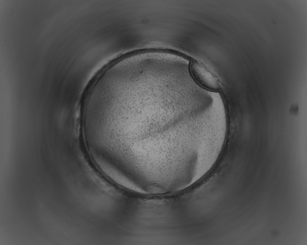 X0000091451126200708301804