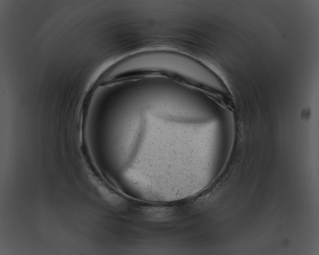 X0000091451127200708301804