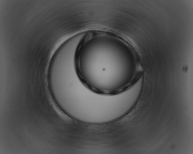 X0000091451128200708301804