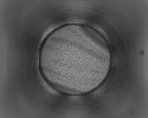X0000091451130200708301804