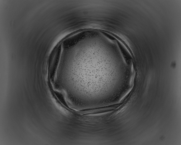 X0000091451131200708301804