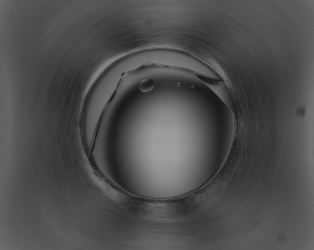 X0000091451132200708301804