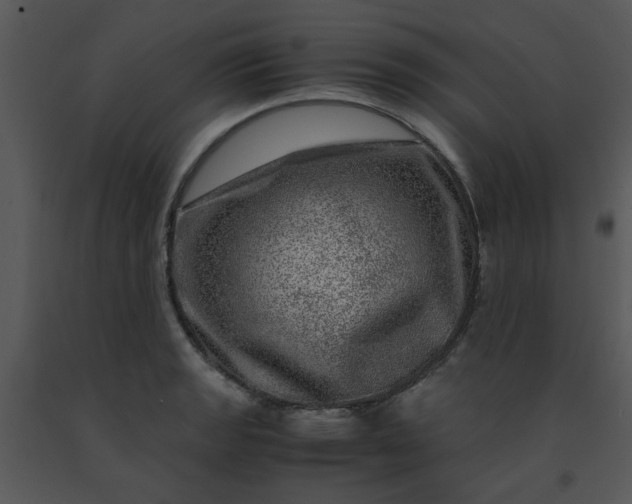 X0000091451133200708301804