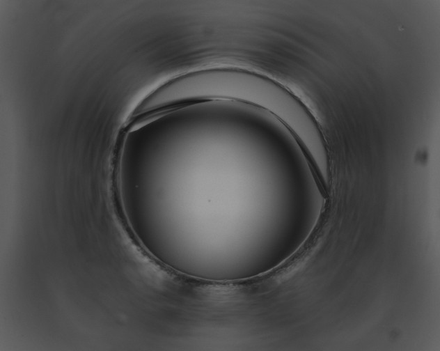 X0000091451134200708301804