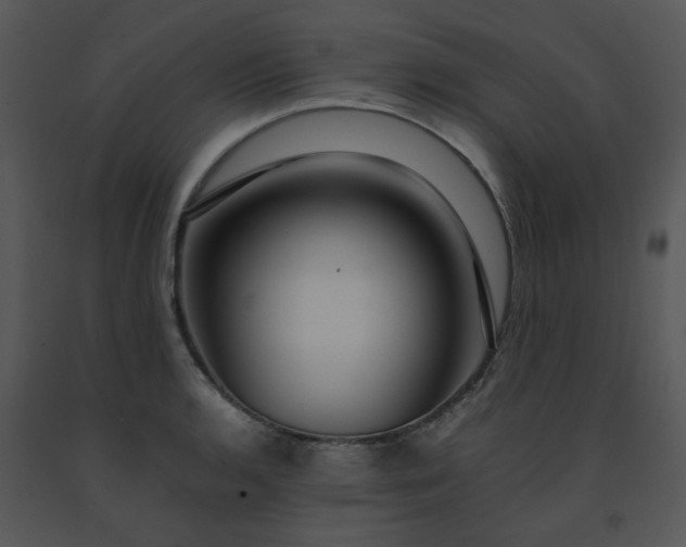 X0000091451136200708301804